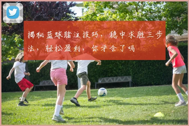 揭秘蓝球赌注技巧，稳中求胜三步法，轻松盈利，你学会了吗