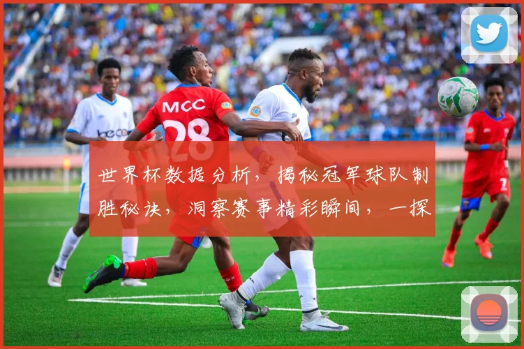 世界杯数据分析，揭秘冠军球队制胜秘诀，洞察赛事精彩瞬间，一探究竟