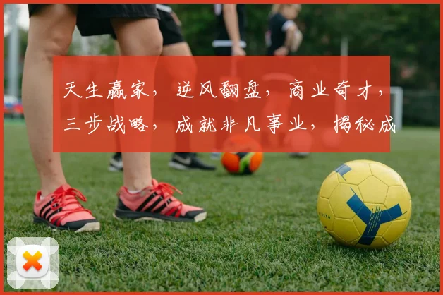 天生赢家，逆风翻盘，商业奇才，三步战略，成就非凡事业，揭秘成功之道
