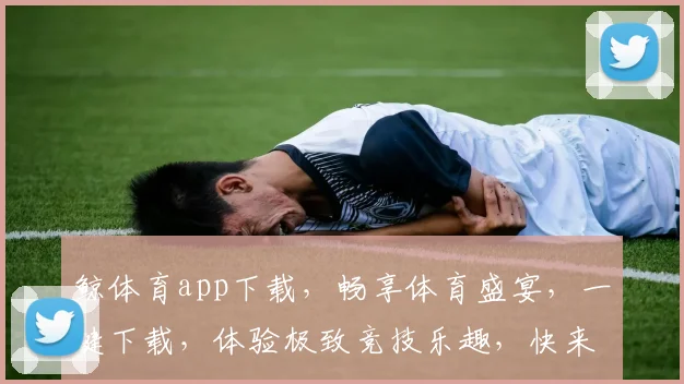 鲸体育app下载，畅享体育盛宴，一键下载，体验极致竞技乐趣，快来加入我们