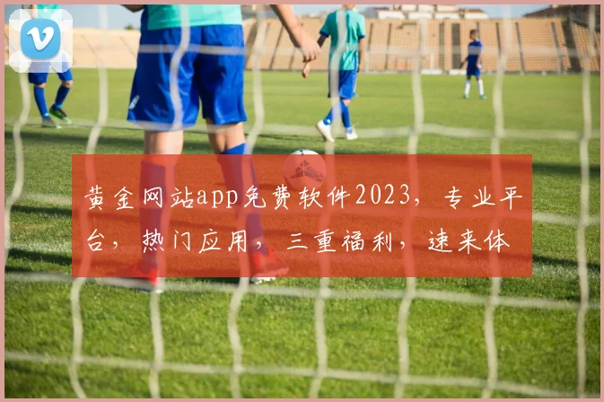 黄金网站app免费软件2023，专业平台，热门应用，三重福利，速来体验