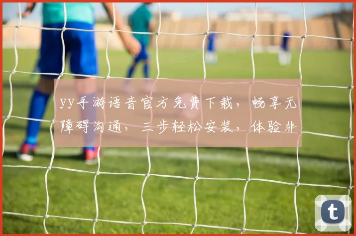 yy手游语音官方免费下载，畅享无障碍沟通，三步轻松安装，体验非凡语音盛宴