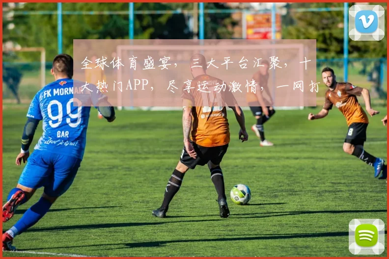 全球体育盛宴，三大平台汇聚，十大热门APP，尽享运动激情，一网打尽